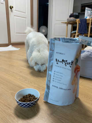 펫토리아 한끼뚝딱 프리미엄 강아지사료_그레인프리/면역력케어 — 5점을 준 리뷰어가 2020년 6월 올린 사용 사진