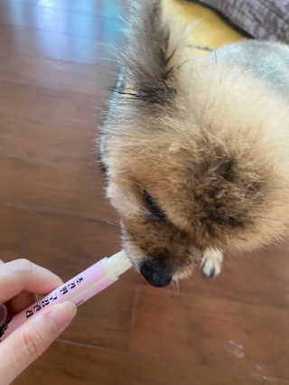 박유정님이 올린 리뷰 사진 4