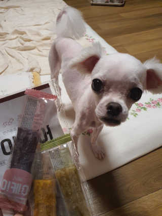 쮸동비님이 올린 리뷰 사진 3