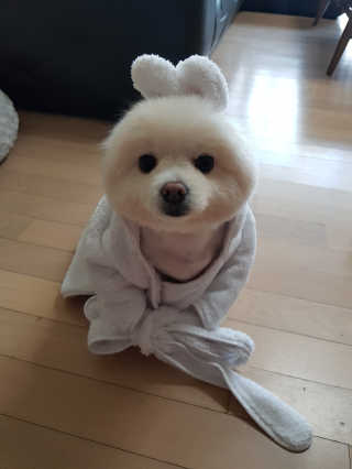 근뽕님이 올린 리뷰 사진 3