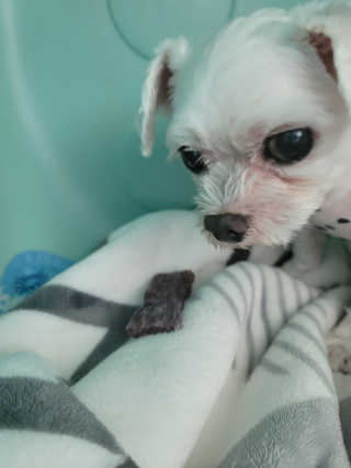 인절미인❣️님이 올린 리뷰 사진 3