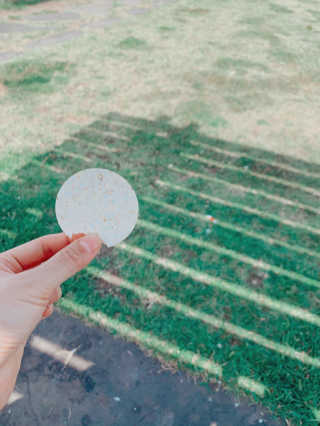 말라님이 올린 리뷰 사진 2