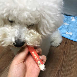 더펫원츠 [5초양치] 멍.치카펜 or 냥.치카펜 or 치카오일펜 — 4점을 준 리뷰어가 2020년 5월 올린 사용 사진