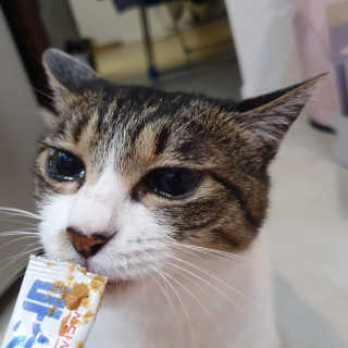 먕아냥해봐님이 올린 리뷰 사진 1
