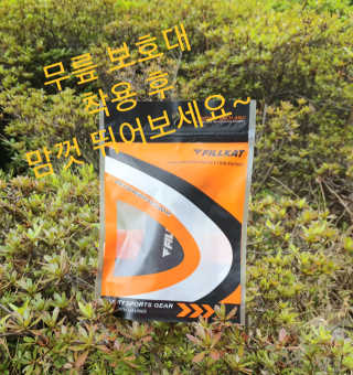 참살이님이 올린 리뷰 사진 1