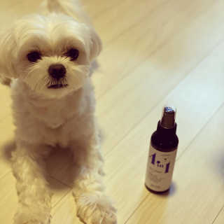 칸쵸님이 올린 리뷰 사진 3