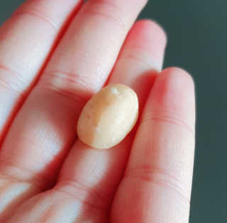 도이퉁 마카다미아 넛 90g  로얄 마카넛 오리지널 쏠트 허니 — 5점을 준 리뷰어가 2020년 11월 올린 사용 사진