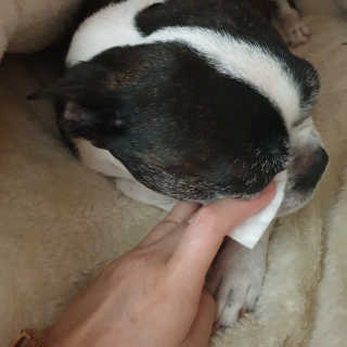 KimMinbi님이 올린 리뷰 사진 3
