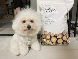 용용맹님이 올린 리뷰 사진 1