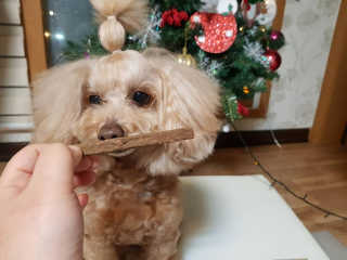My Pet Care 천연단백질 치아건강에 개좋아 — 4점을 준 리뷰어가 2020년 12월 올린 사용 사진