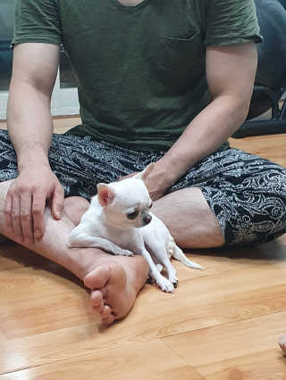 박쫑님이 올린 리뷰 사진 3