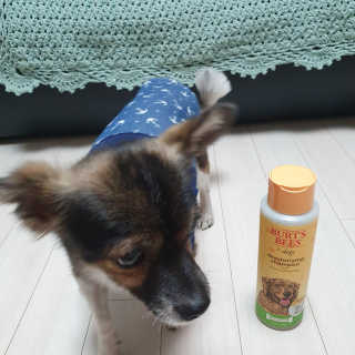 꽃수니어니님이 올린 리뷰 사진 2
