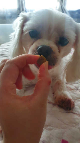 페티앙님이 올린 리뷰 사진 3