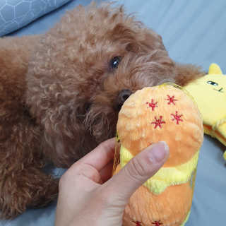 최정임님이 올린 리뷰 사진 3