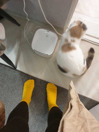 망나니집사님이 올린 리뷰 사진 2