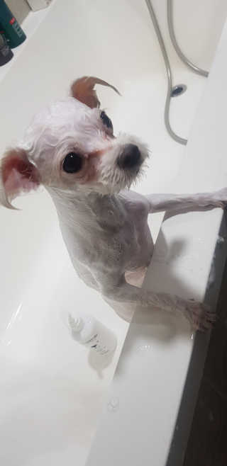 푸카카님이 올린 리뷰 사진 4