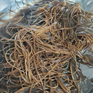 [해주냉면] 신천맛집 매운 비빔냉면 2인분 + 무절임 — 5점을 준 리뷰어가 2020년 5월 올린 사용 사진