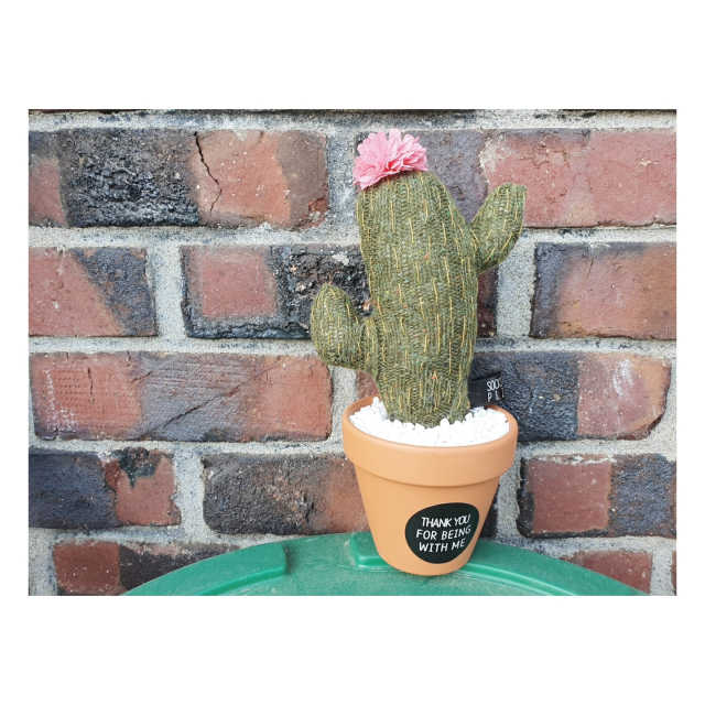 [DIY] 공기정화 선인장 양말인형 리뷰 사진