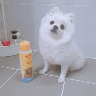 꺼네오기님이 올린 리뷰 사진 1