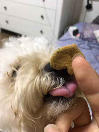 하이예령님이 올린 리뷰 사진 3