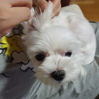 수빈님이 올린 리뷰 사진 3