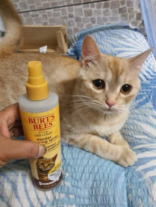 버츠비 캣 댄더 리듀싱 스프레이 — 5점을 준 리뷰어가 2020년 9월 올린 사용 사진