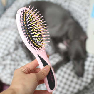 아이캔디 레인보우 볼륨S  브러쉬 for PET 미디엄 — 5점을 준 리뷰어가 2020년 12월 올린 사용 사진
