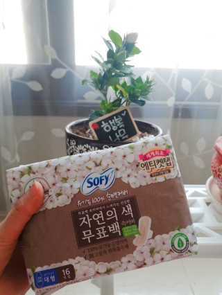 LG유니참 쏘피SOFY 쏘피 자연의 색 무표백 유기농 100프로 생리대 — 5점을 준 리뷰어가 2020년 4월 올린 사용 사진
