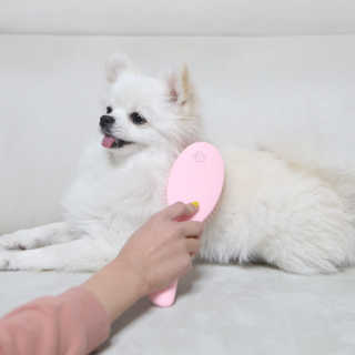 아이캔디 레인보우 볼륨S  브러쉬 for PET 미디엄 — 5점을 준 리뷰어가 2020년 12월 올린 사용 사진