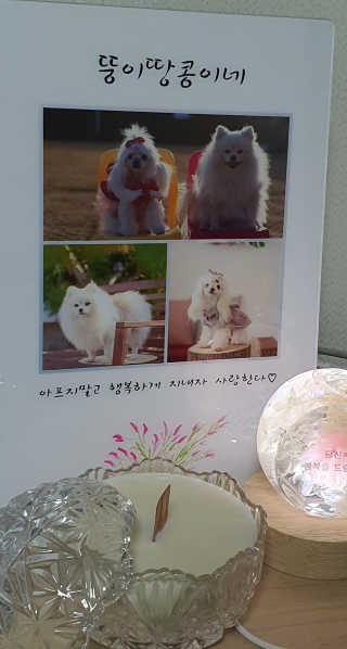 뚱이땅콩맘님이 올린 리뷰 사진 3