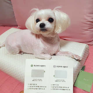 포유 메모리폼 경추베개 자모니베개 — 5점을 준 리뷰어가 2020년 8월 올린 사용 사진