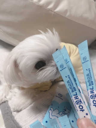뚜덩맘님이 올린 리뷰 사진 4
