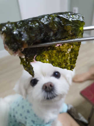 광천우리맛김 한봉지 2~3인분, 맛있는 우리재래식탁김26매20봉 — 5점을 준 리뷰어가 2020년 5월 올린 사용 사진