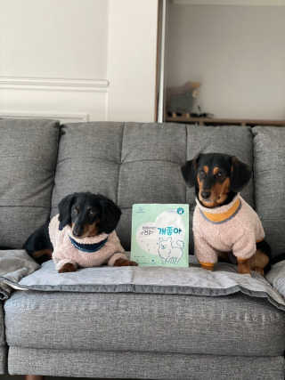My Pet Care 천연단백질 눈건강에 개좋아 — 5점을 준 리뷰어가 2020년 11월 올린 사용 사진