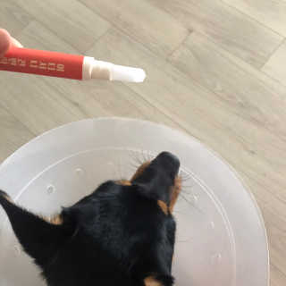 박소미님이 올린 리뷰 사진 4