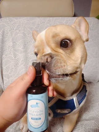 이은향님이 올린 리뷰 사진 3