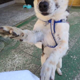 도이님이 올린 리뷰 사진 3
