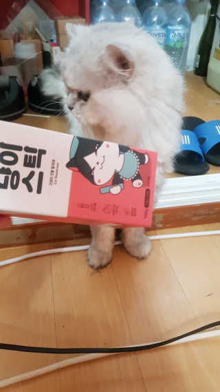 이영실님이 올린 리뷰 사진 4