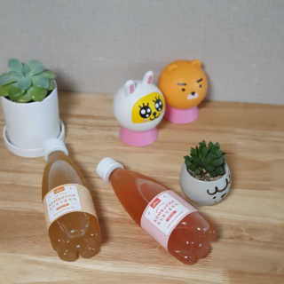 열살터울님이 올린 리뷰 사진 2