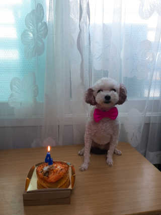 주여니이님이 올린 리뷰 사진 1