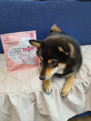 My Pet Care 천연단백질 관절건강에 개좋아 — 5점을 준 리뷰어가 2020년 12월 올린 사용 사진