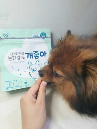 My Pet Care 천연단백질 눈건강에 개좋아 — 5점을 준 리뷰어가 2020년 11월 올린 사용 사진