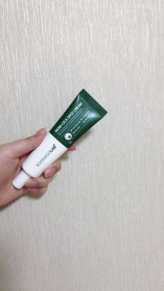 안뇽이안뇽님이 올린 리뷰 사진 1
