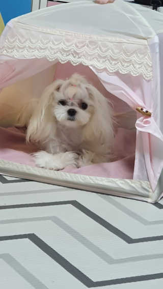 라미맘님이 올린 리뷰 사진 3