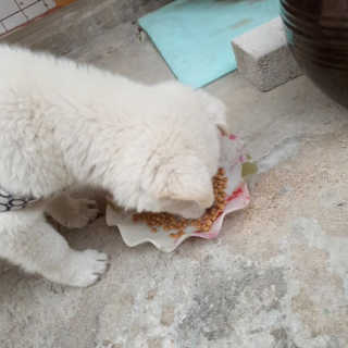 얌야미님이 올린 리뷰 사진 3