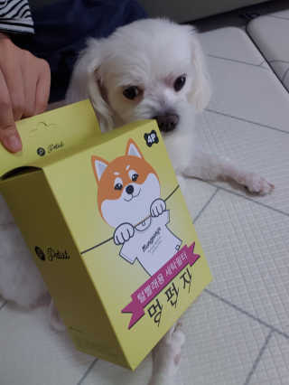 고롸고롸고롸님이 올린 리뷰 사진 2