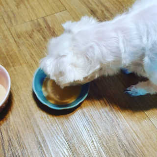 뿌꾸님이 올린 리뷰 사진 4