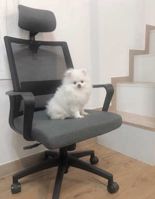 TeiTei님이 올린 리뷰 사진 1