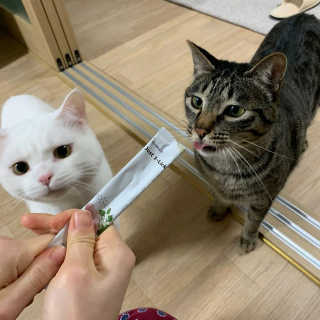 유짱님이 올린 리뷰 사진 2