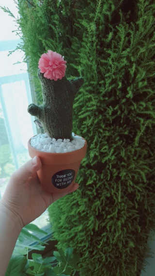 람보슈터님이 올린 리뷰 사진 1